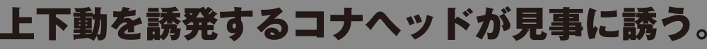 ブラックキャット G-SX