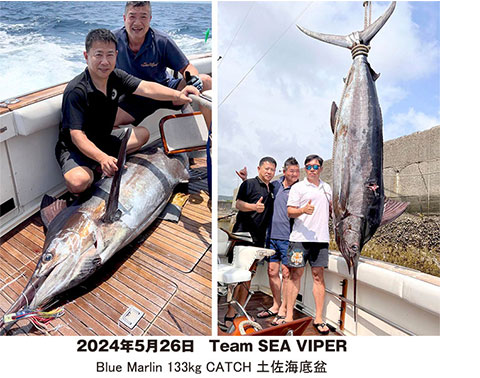 2024年5月26日 TEAM SEA VIPER Blue Marlin 133kg CATCH 土佐海底盆